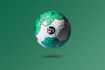 Load image into Gallery viewer, Green Roses Soccer Ball