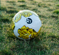 Load image into Gallery viewer, Roses soccer ball
